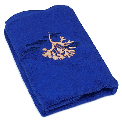 Полотенце махровое "Reef" с вышивкой, цвет: синий, 70 см х 140 см Турции по заказу ООО "МаксиТекс" инфо 9810l.